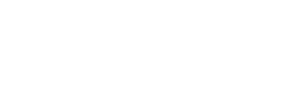 Nimble accounting